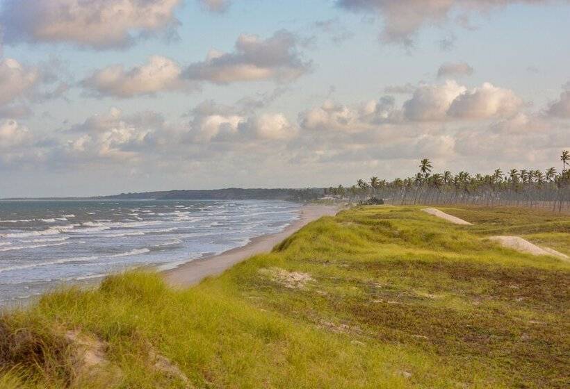 簡易ホテル Pousada Dos Sonhos