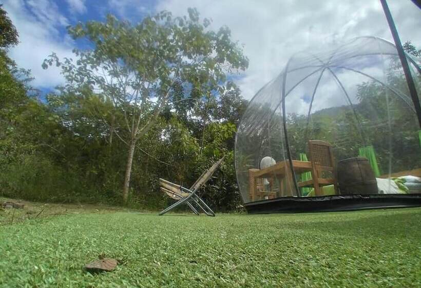 فندق Cassacha Glamping