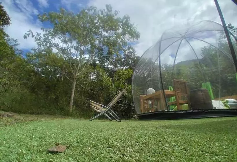 ホテル Cassacha Glamping