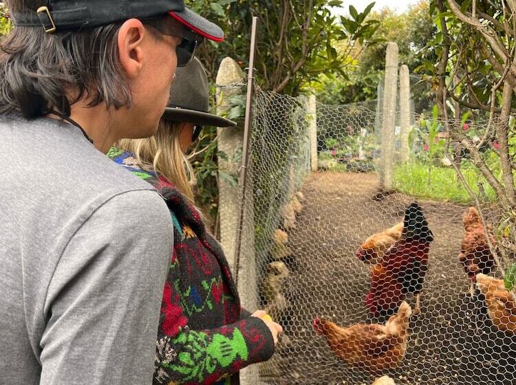 Otel Complejo Turistico Magic Bungalow