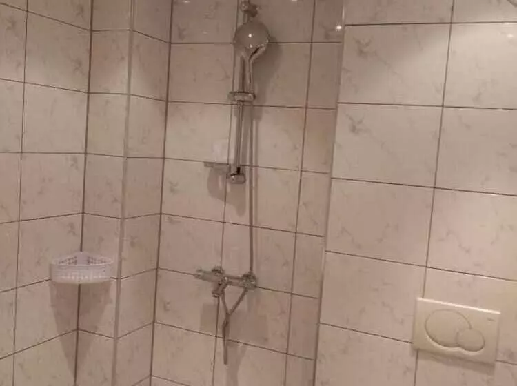 Hotelli Weißer Schwan