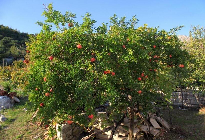 膳宿费 Apartments & Room Eva Slano