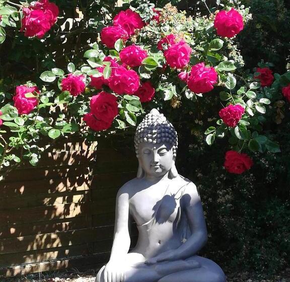 Bed & Breakfast Chambre Et Appartement Zen De Beauval