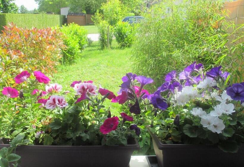 Bed & Breakfast Chambre Et Appartement Zen De Beauval