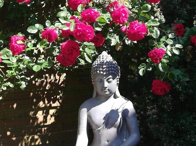 Bed & Breakfast Chambre Et Appartement Zen De Beauval