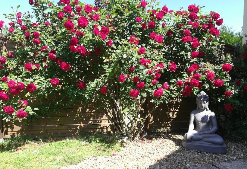 Bed & Breakfast Chambre Et Appartement Zen De Beauval