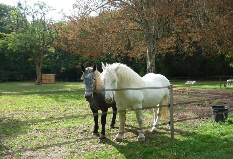 مبيت وإفطار Château De Paradis