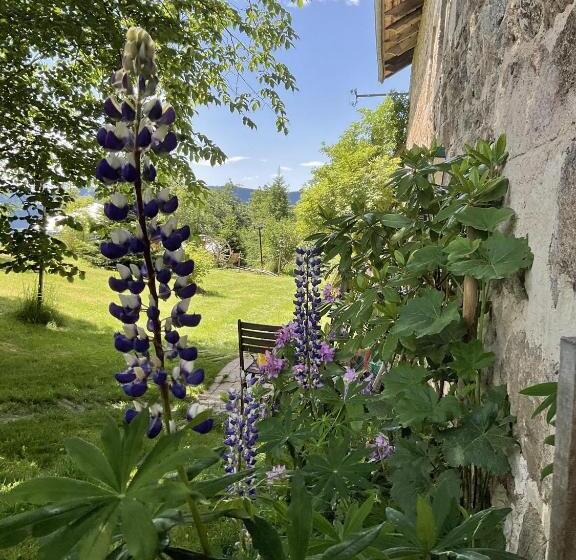 مبيت وإفطار Jasserie Les Airelles