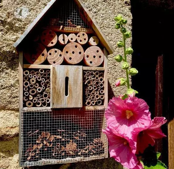 Aamiaismajoitus (B&B) Jasserie Les Airelles