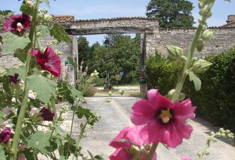 ベッドアンドブレックファースト La Collegiale