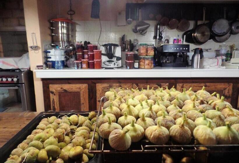 ベッドアンドブレックファースト La Collegiale