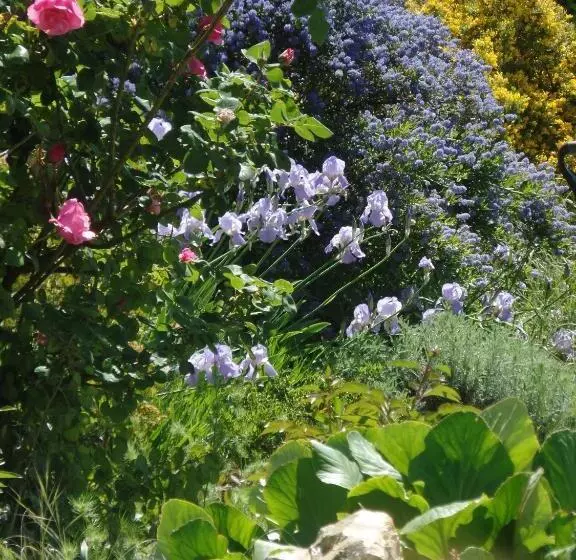 ベッドアンドブレックファースト La Collegiale