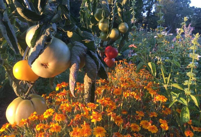 צימר Le Pré Germain