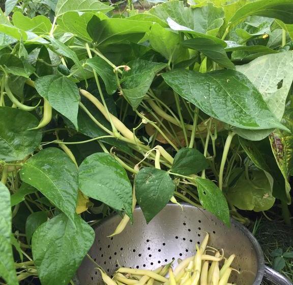 צימר Le Pré Germain