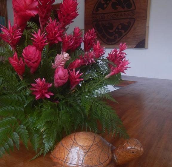 בית מלון כפרי Club Oceanus Resort