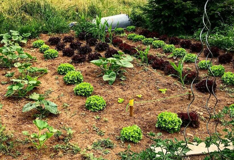 فندق Eco Yourte Les Airelles