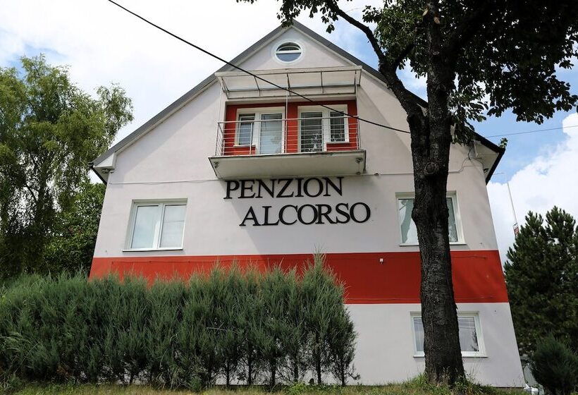 Отель Alcorso Pension