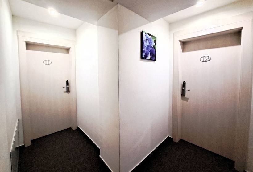 Отель Alcorso Pension