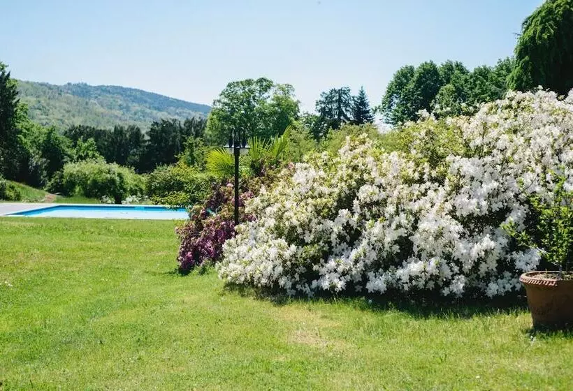 Hotelli Villa Borghi