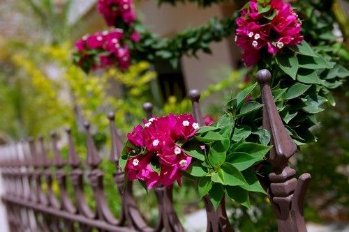 Michelle Pernera Villas