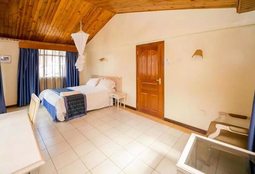 Palm Tree Bed & Breakfast