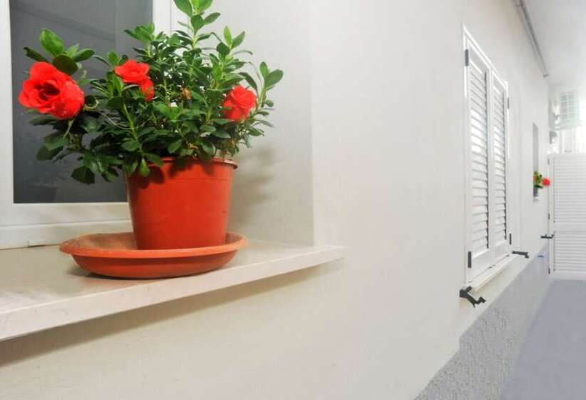 פנסיון Mini Hotel Peperoncino Palace