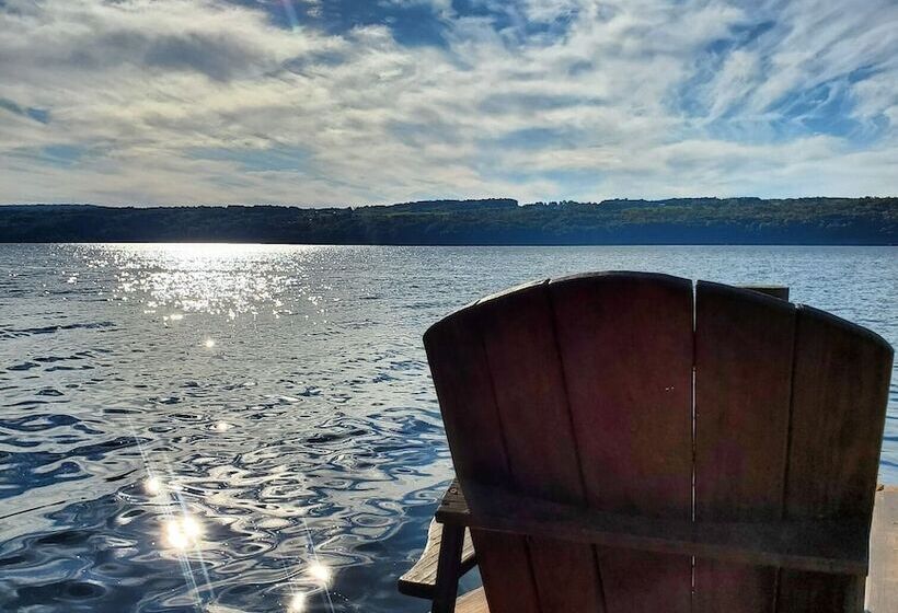 Single Island Shores