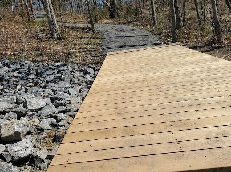 Single Island Shores