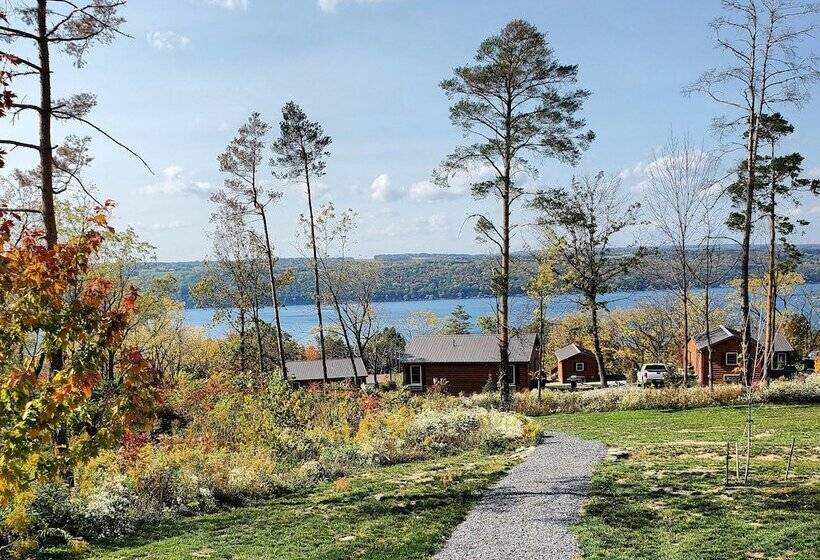 Single Island Shores