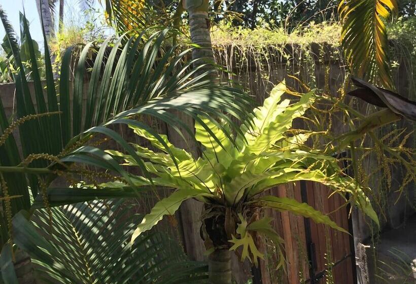 Villa Rm Canggu