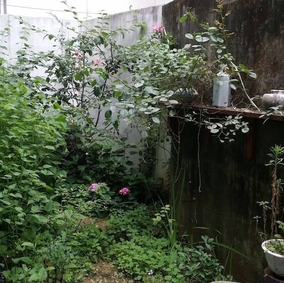 ユースホステル Nearest Guesthouse