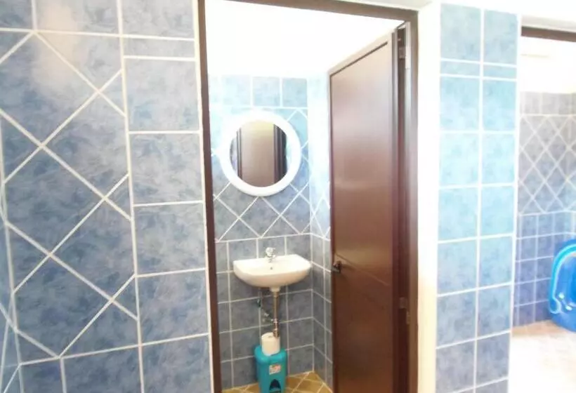 B & B Aecolibrium