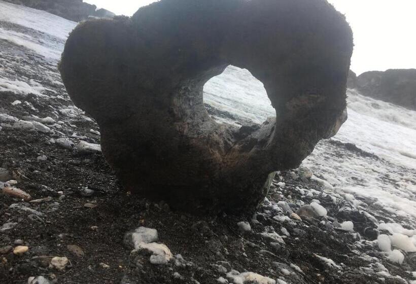 Bed and Breakfast Newberry Beach Lodge