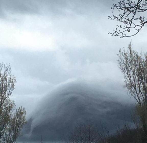 Bed and Breakfast Newberry Beach Lodge