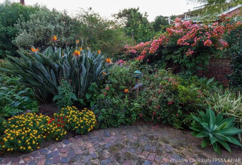 צימר Paradise Found