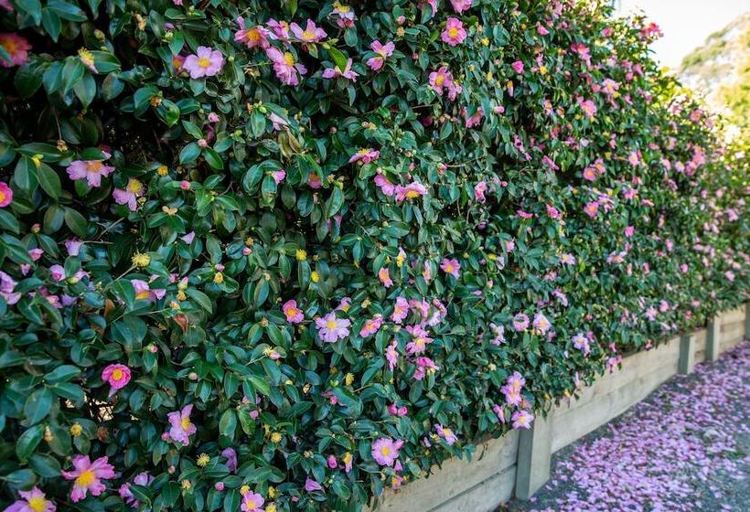 צימר Vivere Retreat