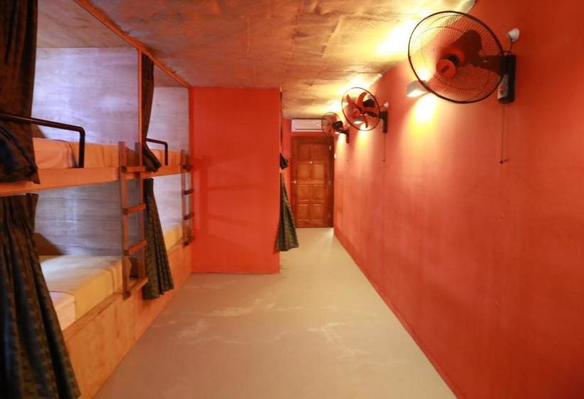 Gibbon Guesthouse  Hostel