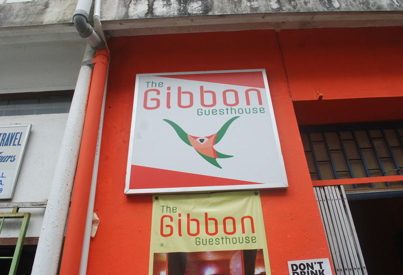 Gibbon Guesthouse  Hostel