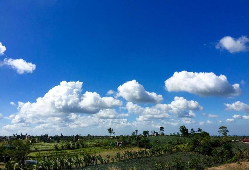 בית מלון כפרי Aroha