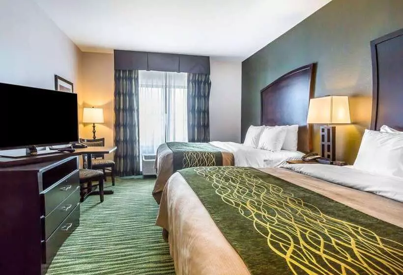 ホテル Comfort Inn & Suites Moore  Oklahoma City