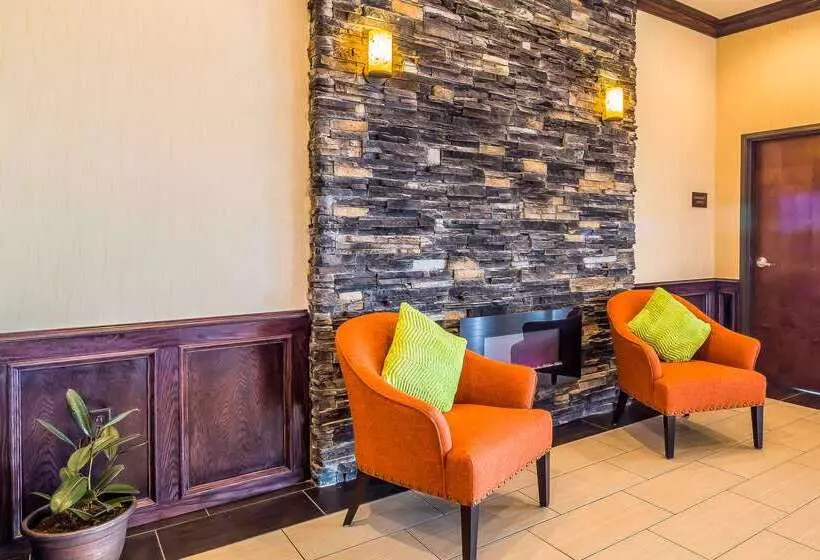 ホテル Comfort Inn & Suites Moore  Oklahoma City
