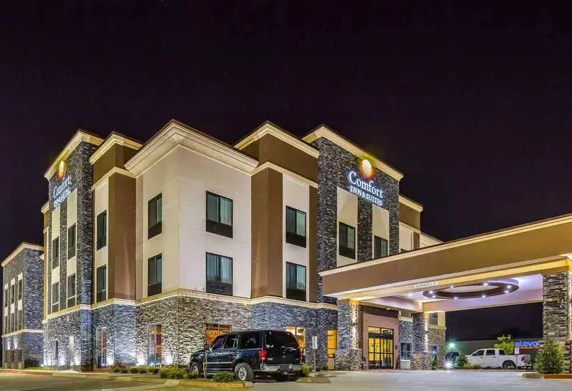 ホテル Comfort Inn & Suites Moore  Oklahoma City