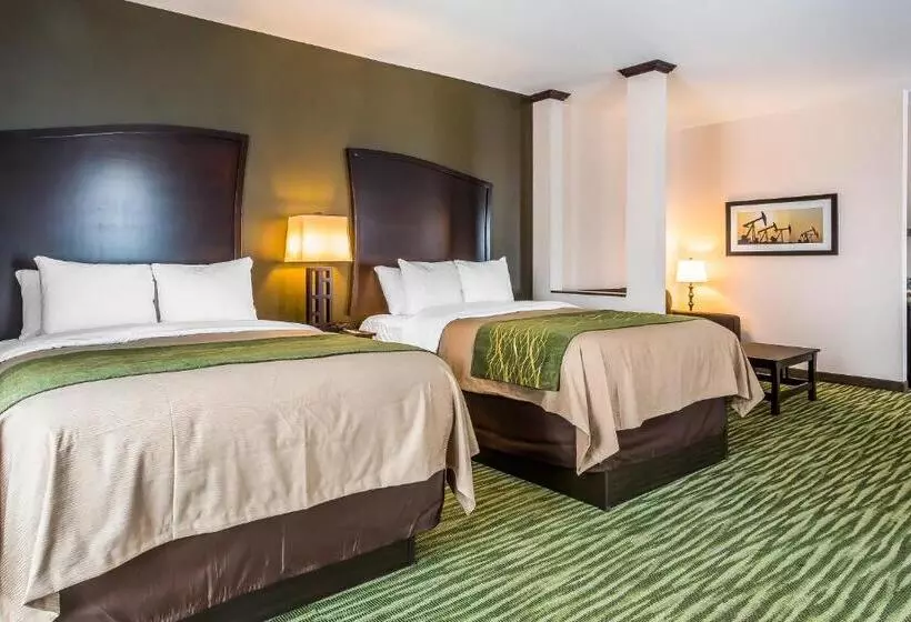 ホテル Comfort Inn & Suites Moore  Oklahoma City