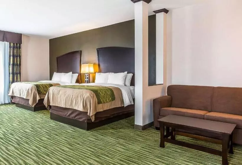 ホテル Comfort Inn & Suites Moore  Oklahoma City
