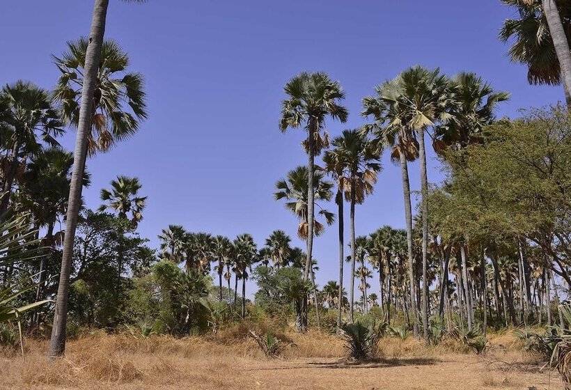 هتل Ecolodge De Palmarin