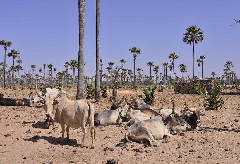 هتل Ecolodge De Palmarin