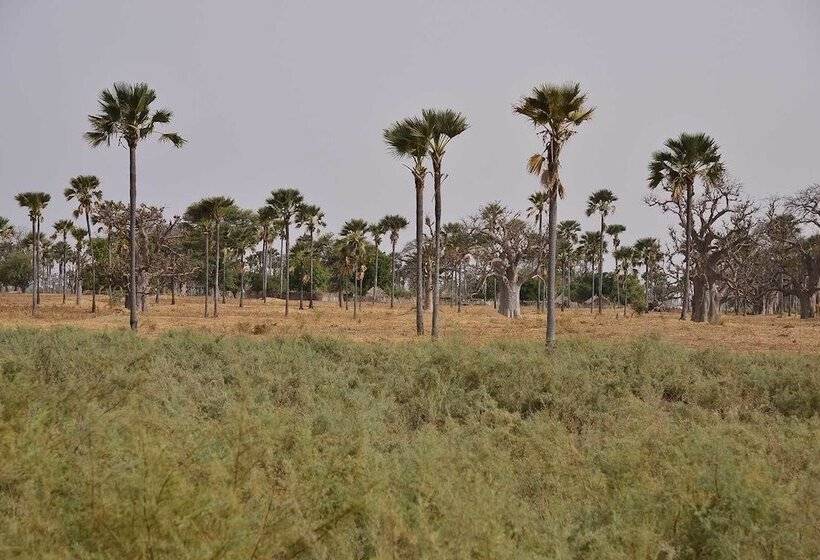 هتل Ecolodge De Palmarin