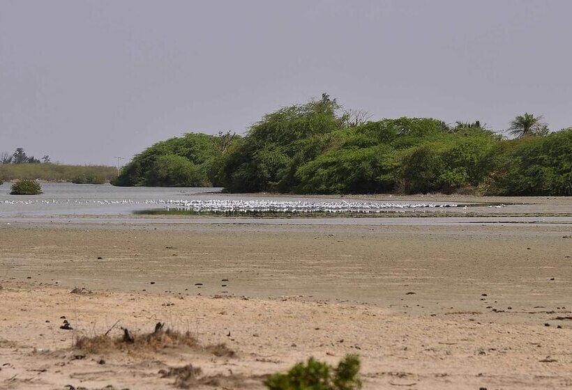 هتل Ecolodge De Palmarin