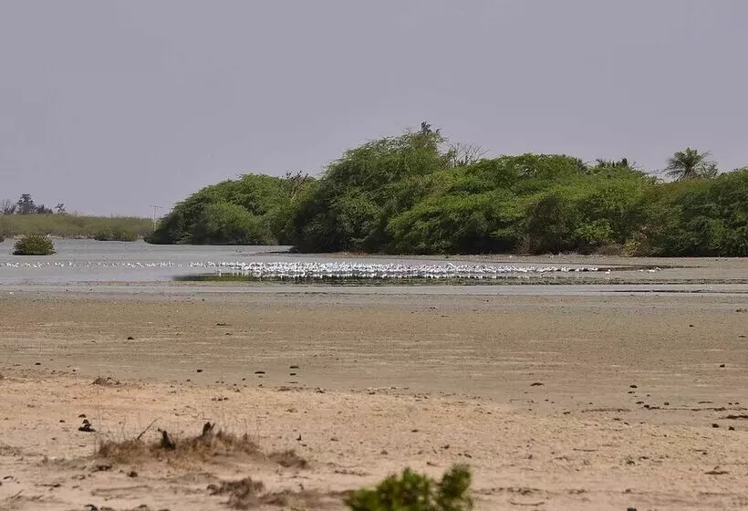 هتل Ecolodge De Palmarin