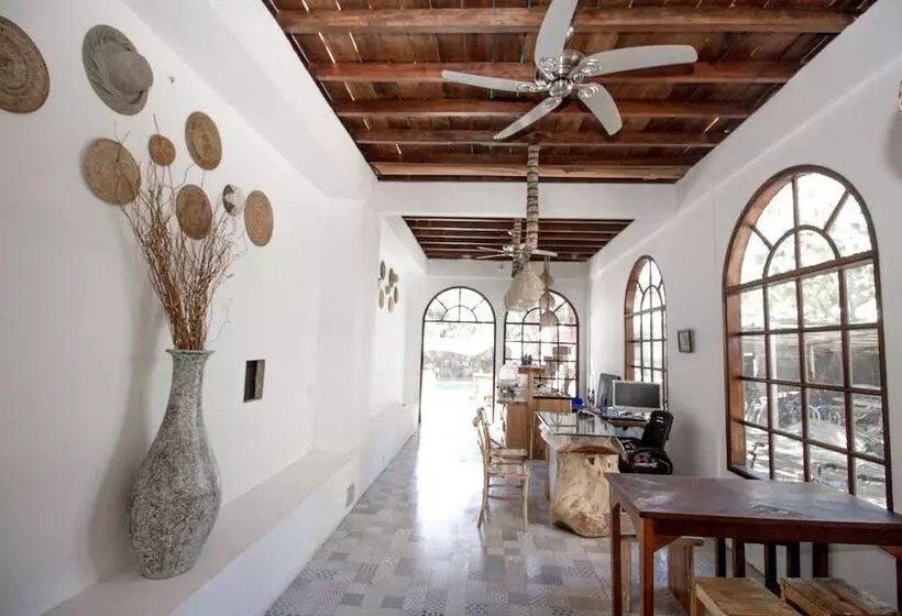 Hotelli Gili Breeze Tropical Bungalows